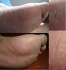 ţƤѢƤ��������С��