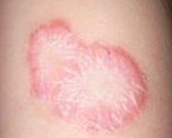 Ѱ����ţƤѢ�������ļ���