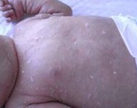 ���۲����Ŵ��ʸߴ�70%-80%