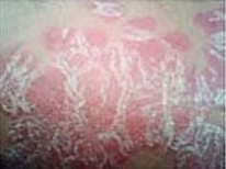 ţƤѢҪ�ÿ�ѧ��������