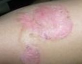 ţƤѢ�ļ����Ա仯