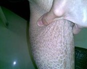 ���۲�������������ϢϢ���