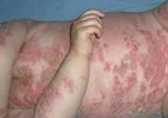 ����ţƤѢ�����