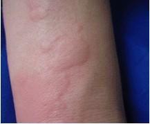 ʲôԭ����ݡ����