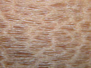 莆田医院就是好啊